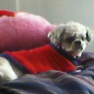 Meet your Posher, Jackie